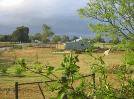 The House Of Honey - Accommodation Port Macquarie 2