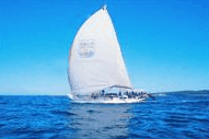 Manly Harbour Village - Accommodation Port Macquarie