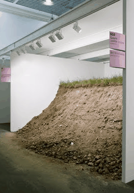 Ryan Renshaw Gallery - Accommodation Port Macquarie 1