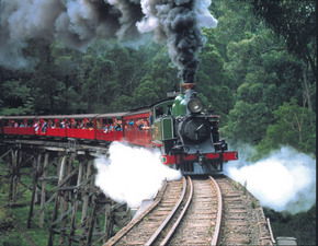 Puffing Billy - Accommodation Port Macquarie 1