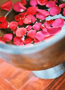 Ripple Brisbane Massage Day Spa And Beauty - Accommodation Port Macquarie 2