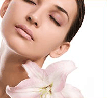 Stephanies Spa Retreat - Accommodation Port Macquarie