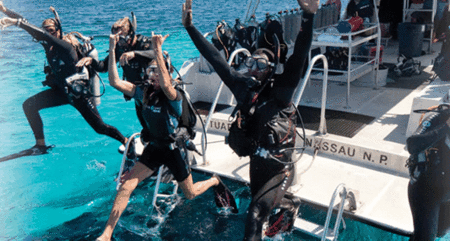 Snorkel Safari Brisbane - Accommodation Port Macquarie