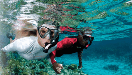 Snorkel Safari Brisbane - Accommodation Port Macquarie 1