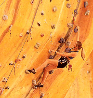 Rocksports Indoor Climbing - Accommodation Port Macquarie