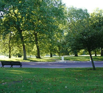 Beth Boyd Park - Accommodation Port Macquarie
