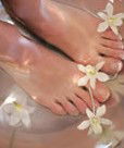 Orchid Day Spa - Accommodation Port Macquarie 0