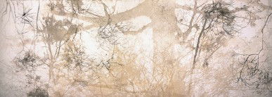 Dianne Tanzer Gallery & Projects - Accommodation Port Macquarie 3