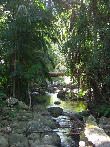 Thunderbird Park - Accommodation Port Macquarie 2