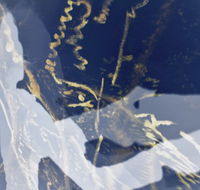 Warburton Lane Exhibits - Accommodation Port Macquarie