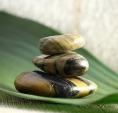 The Nature of Balance - Accommodation Port Macquarie