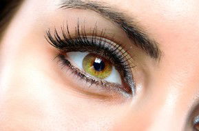 Beauty On Ryrie - Accommodation Port Macquarie 1