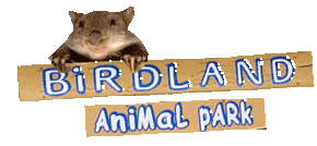 Birdland Animal Park - Accommodation Port Macquarie