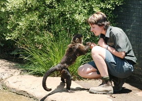 National Zoo & Aquarium - Accommodation Port Macquarie 1