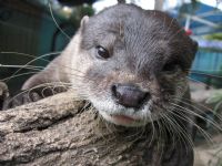 Underwater World - Accommodation Port Macquarie 1