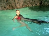 Underwater World - Accommodation Port Macquarie 2