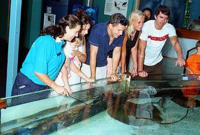 Underwater World - Accommodation Port Macquarie 3