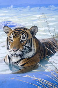 Zoo Doo Wildlife Park - Accommodation Port Macquarie 0