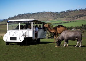 Zoo Doo Wildlife Park - Accommodation Port Macquarie 2