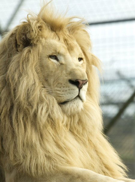 Zoo Doo Wildlife Park - Accommodation Port Macquarie 3