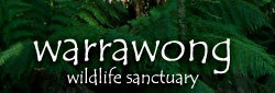 Warrawong Wildlife Park - Accommodation Port Macquarie 0