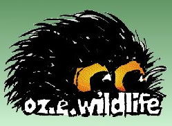 OZe Wildlife - Accommodation Port Macquarie 0