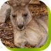  Accommodation Port Macquarie