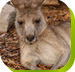 Calmsley Hill City Farm - Accommodation Port Macquarie