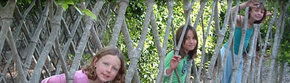Amaze 'n' Place - Accommodation Port Macquarie 3