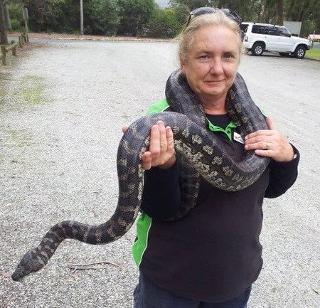 Gumbuya Park - Accommodation Port Macquarie 2