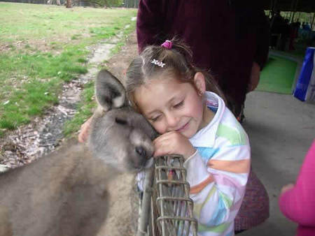 Gumbuya Park - Accommodation Port Macquarie 3