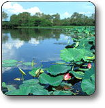Kakadu National Park - Accommodation Port Macquarie 3