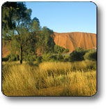 Uluru - Kata Tjuta National Park - Accommodation Port Macquarie 0