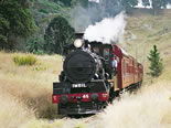 Storeyline Tours - Accommodation Port Macquarie 2
