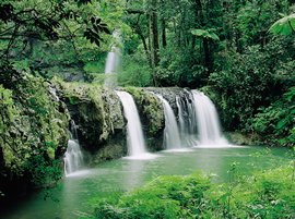 Hidden Valley Tours - Accommodation Port Macquarie 2