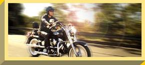 Easy Rider - Accommodation Port Macquarie 1