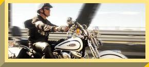 Easy Rider - Accommodation Port Macquarie 2