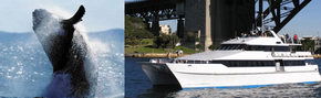 Prestige Harbour Cruises - Accommodation Port Macquarie 3