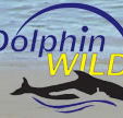 Dolphin Wild - Accommodation Port Macquarie