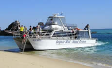 Dolphin Wild - Accommodation Port Macquarie 2