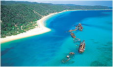 Dolphin Wild - Accommodation Port Macquarie 3