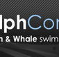 Dolphcom - Dolphin  Whale Swimming Adventures - Accommodation Port Macquarie