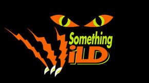 Something Wild - Accommodation Port Macquarie 0