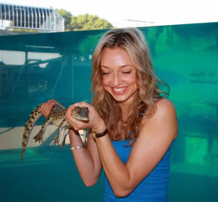 Crocosaurus Cove - Accommodation Port Macquarie 0