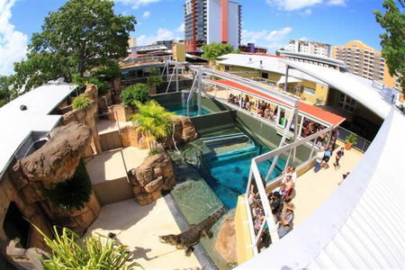 Crocosaurus Cove - Accommodation Port Macquarie 1