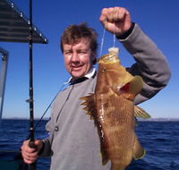 Downunder Charters - Accommodation Port Macquarie