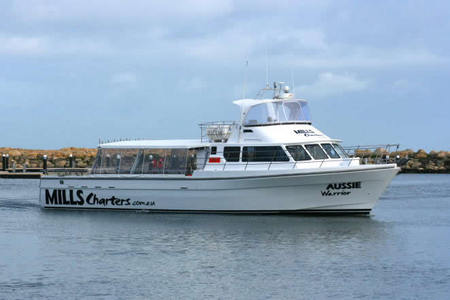 Mills Charters Fishing And Whale Watch Cruises - Accommodation Port Macquarie 1