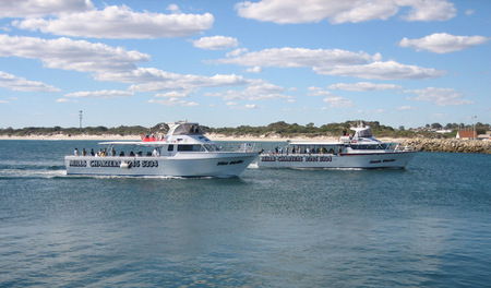 Mills Charters Fishing And Whale Watch Cruises - Accommodation Port Macquarie 2
