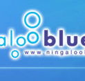 Ningaloo Blue Dive - Accommodation Port Macquarie