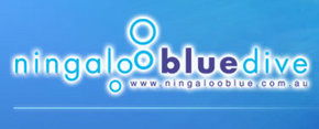 Ningaloo Blue Dive - Accommodation Port Macquarie 0